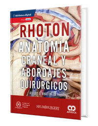 Anatomía Craneal y Abordajes Quirúrgicos