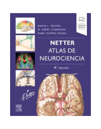 Netter. Atlas de neurociencia 4 edition